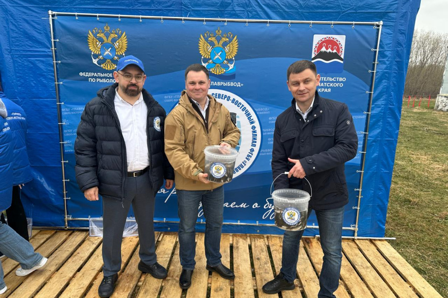 Выпускной для лососей прошёл на Камчатке . Главрыбвод. Фотография 2