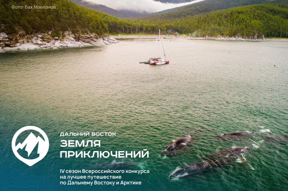 О Камчатке сняли 37 фильмов для конкурса «Дальний Восток – Земля приключений». . Фотография 2