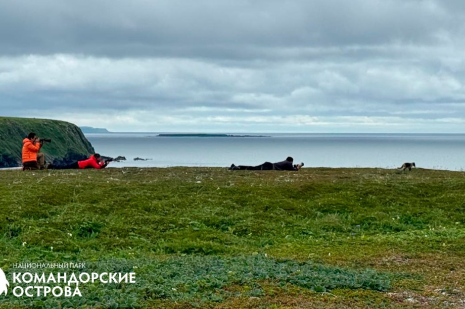 Туристы прибыли на Командорские острова впервые в этом сезоне. . Фотография 1