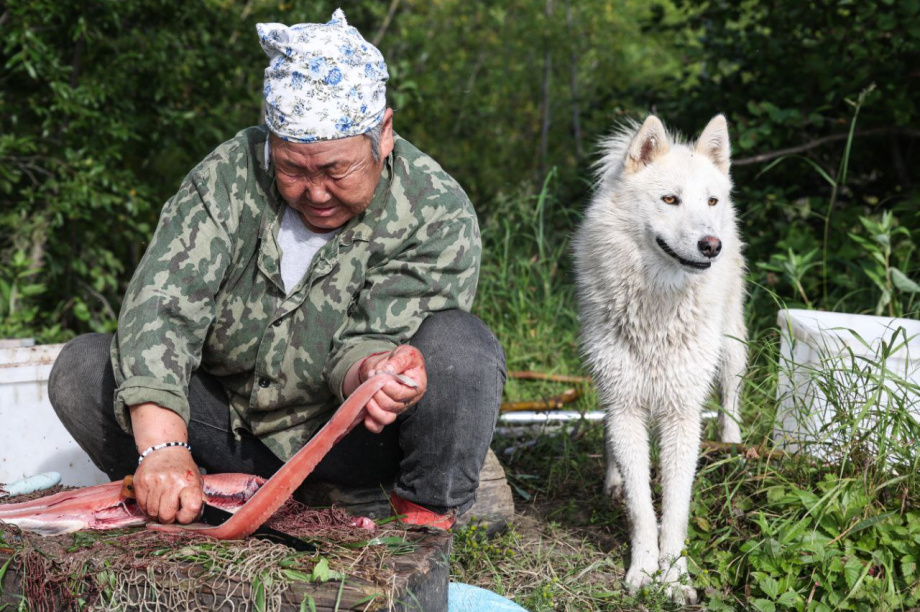 Путешественник из Удомля отправляется в новую камчатскую экспедицию. Фото: t.me/Anatoly_Chernyavskiy. Фотография 6