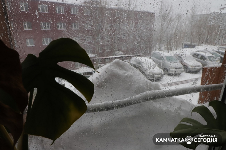 Заснеженный Петропавловск: фоторепортаж Виктора Гуменюка. Фото: Виктор Гуменюк. Фотография 18