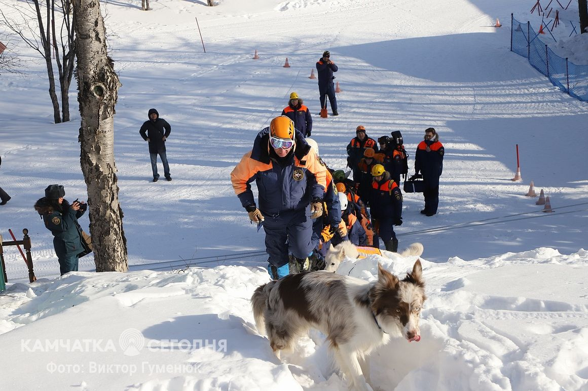 Тренировка по поиску людей в лавинах на Камчатке. Фоторепортаж. Фото: Виктор Гуменюк/ИА "Камчатка". Фотография 36