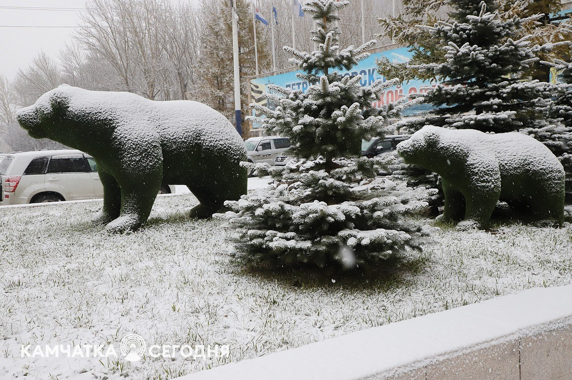 Первый снег выпал в столице Камчатки. Фоторепортаж. Фото: Виктор Гуменюк\ИА "Камчатка". Фотография 7