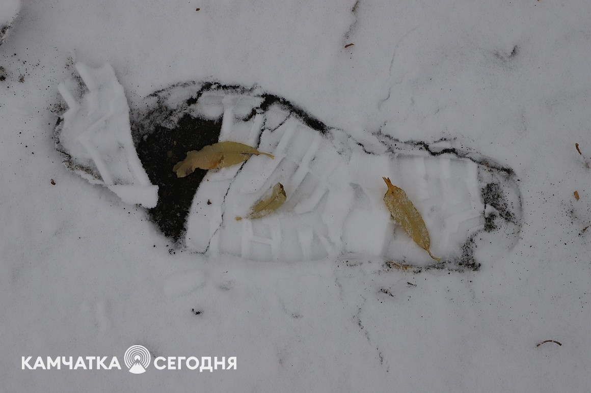 Первый снег выпал в столице Камчатки. Фоторепортаж. Фото: Виктор Гуменюк\ИА "Камчатка". Фотография 21