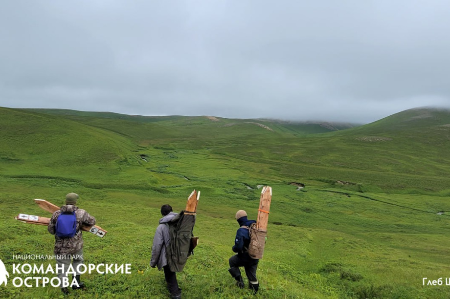 Командорские острова готовятся к наплыву туристов. Фото: Национальный парк "Командорские острова". Фотография 2