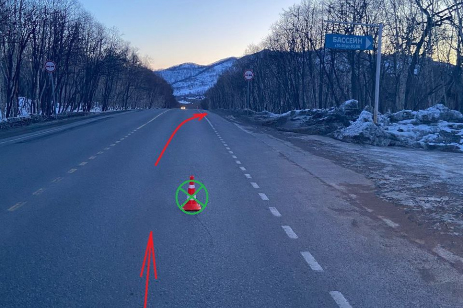 Двое пешеходов на Камчатке тяжело пострадали в ДТП. Фото: Госавтоинспекция Камчатского края. Фотография 2
