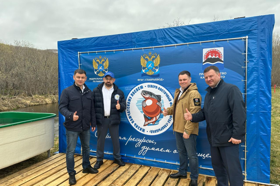 Выпускной для лососей прошёл на Камчатке . Главрыбвод. Фотография 9
