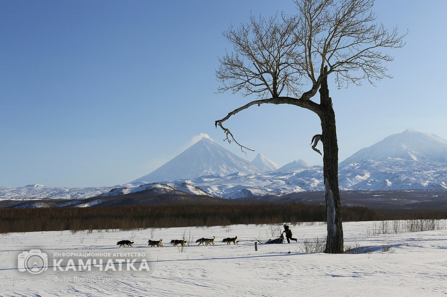 Всемирный день фотографии отмечает Камчатка. Фото: Виктор Гуменюк. Фотография 29