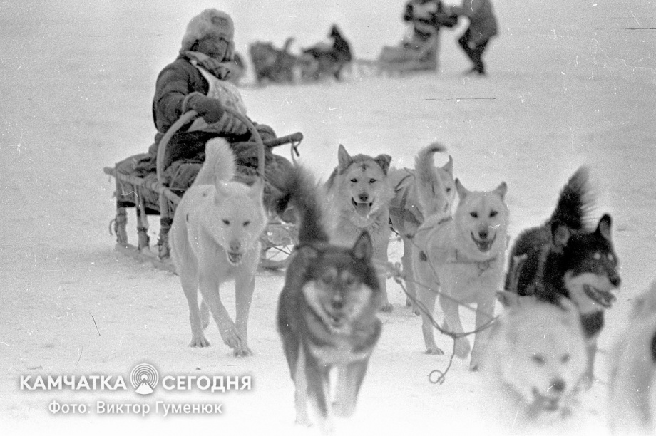День образования Корякского округа на Камчатке. Фотоподборка. Фото: Виктор Гуменюк\ИА "Камчатка". Фотография 14