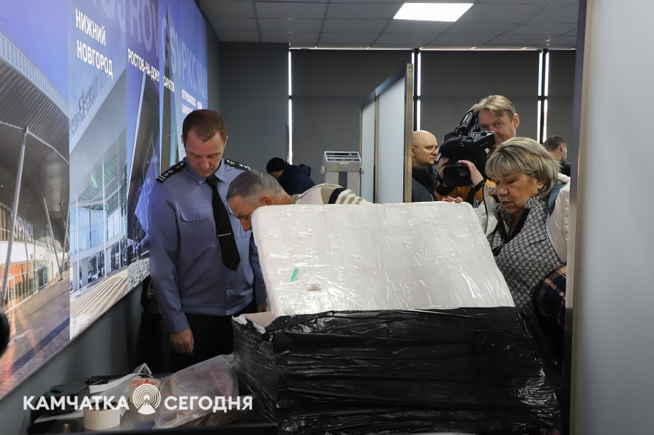 Эксперимент по ограничению провоза икры стартовал на Камчатке. Фоторепортаж. Фото: Виктор Гуменюк\ИА "Камчатка". Фотография 18