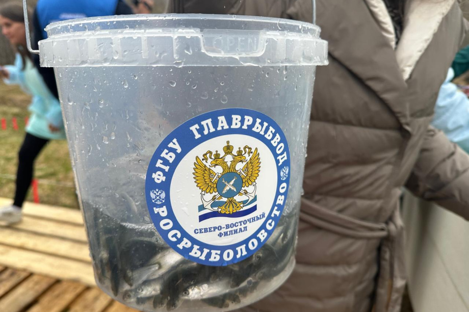 Выпускной для лососей прошёл на Камчатке . Главрыбвод. Фотография 1