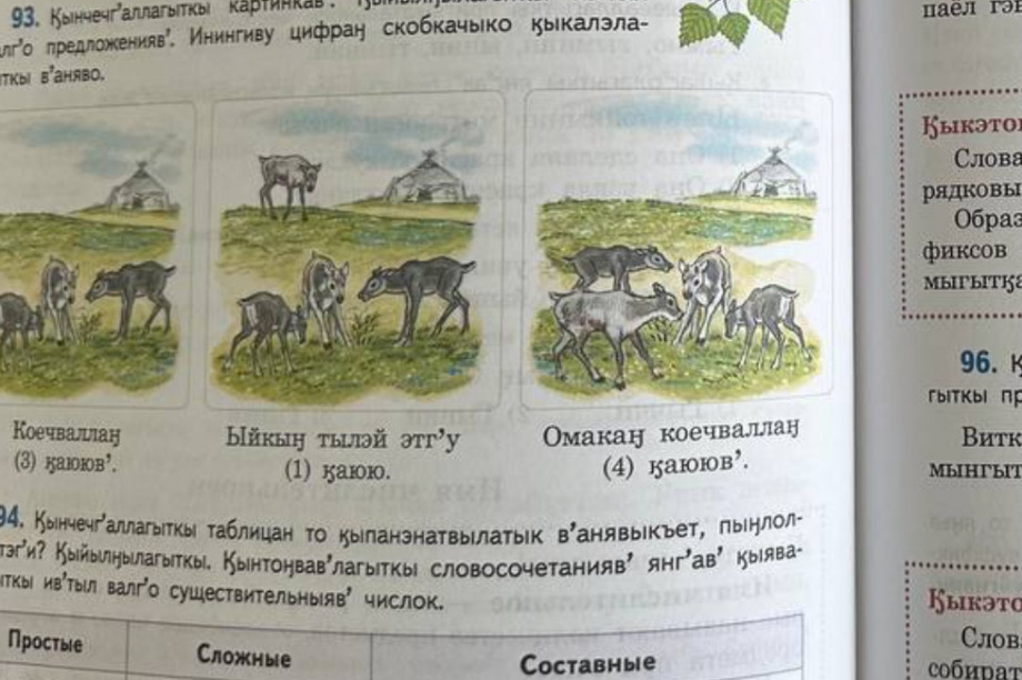 Учебники по корякскому языку поступили в северные школы Камчатского края. Фото: kamgov.ru. Фотография 2