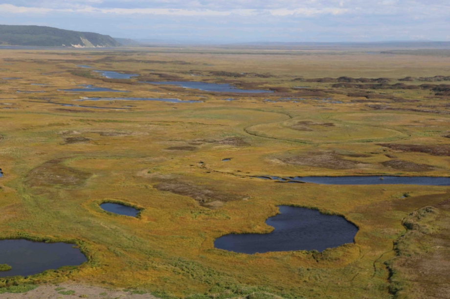 Представители КМНС на Камчатке смогут создать территории традиционного природопользования. Фото: ЗСКК. Фотография 5
