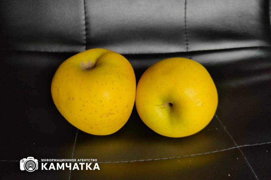 Годовая инфляция на Камчатке в июне ускорилась — до 8,6 процента. Фото: Олеся Сурина