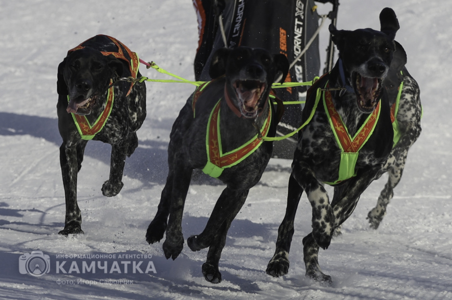«Елизовский спринт» — 15 лет традиций и азарта!. Фото: «Камчатка Сегодня» \ Игорь Сафончик. Фотография 11