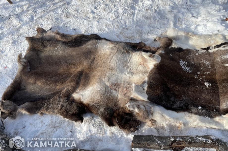 Обрядовый праздник Хололо отметили в Паратунке 9 ноября. фото: Игорь Ходжер. Фотография 22