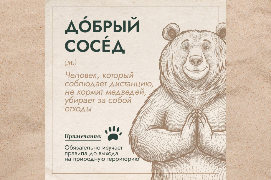 Проект «Земля медведя» выпустил толковый словарь медвежьих терминов. . Фотография 3