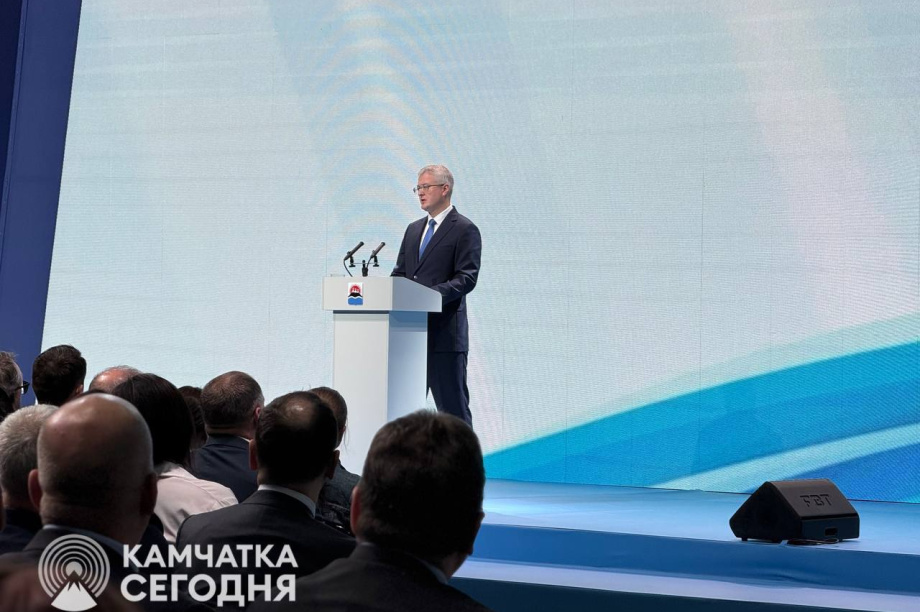 Солодов назвал состояние Петропавловска-Камчатского неприемлемым . . Фотография 1