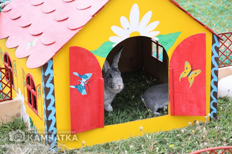 Мы славяне! — народное гуляние в Елизово было ярким и позитивным. Фото: ИА «Камчатка» \ Виктор Гуменюк. Фотография 36