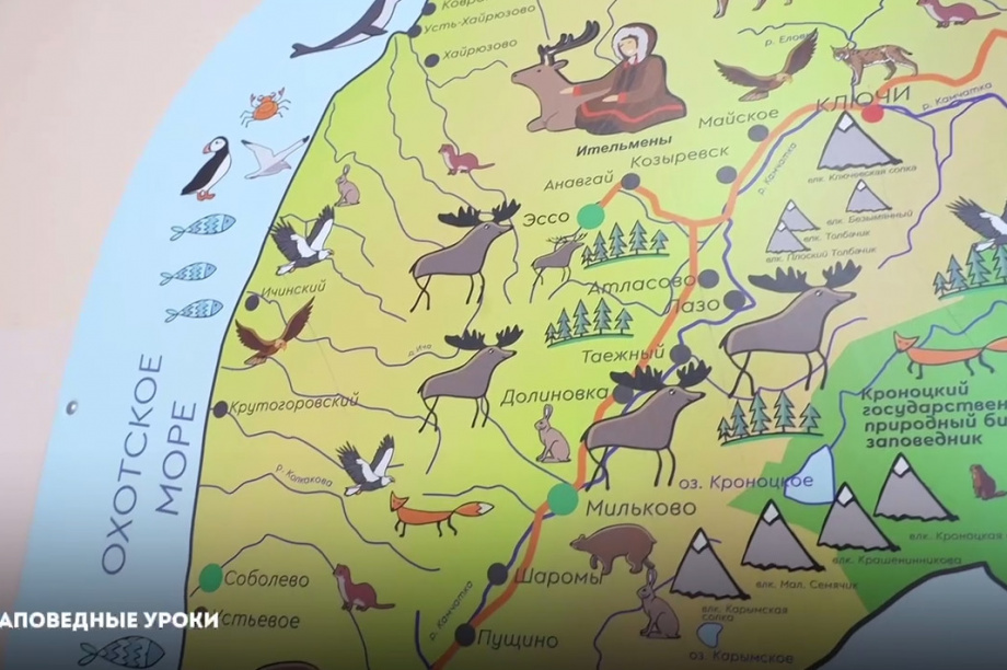 Школьникам рассказывают о заповедной природе Камчатки. Фото организаторов. Фотография 4