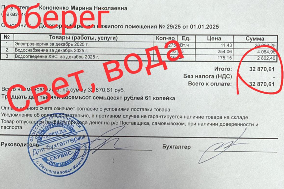 Камчатский приют кошек «Оберег» просит помощи у города и горожан. Фото: приют "Оберег". Фотография 2