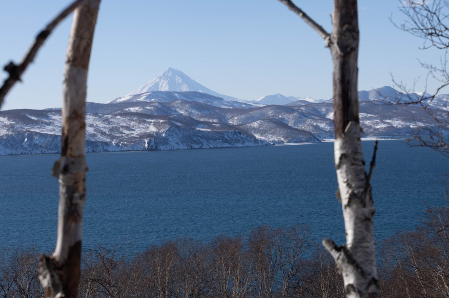 Медвежья Масленица. Фото: «Камчатка Сегодня» \ Игорь Сафончик. Фотография 37