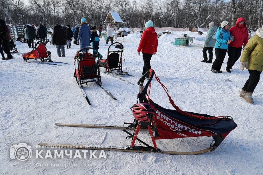 Гонка на собачьих упряжках «Хальч Тхсаном». Фоторепортаж  . Фото: Виктор Гуменюк. Фотография 26