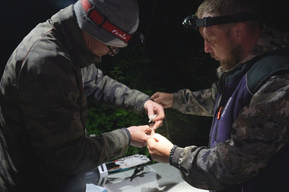 Камчатка избежала интернет-апокалипсиса благодаря резервной линии ВОЛС. Фото: kamgov.ru. Фотография 3