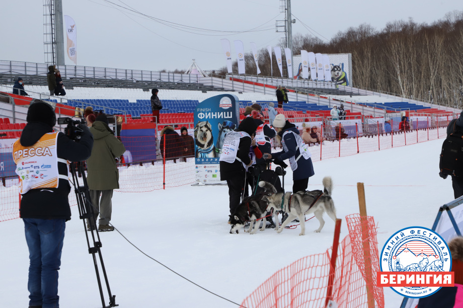 На Камчатке стартовала детская гонка на собачьих упряжках «Дюлин-2021». Фото: Виктор Гуменюк. Фотография 30