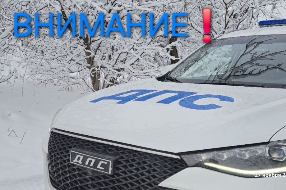 ГИБДД Камчатки объяснила, почему на Госуслуги приходят «чужие» штрафы . Фото: Госавтоинспекция Камчатского края