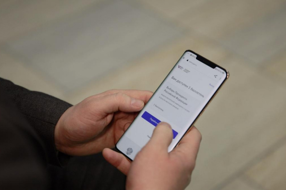 Камчатский край стал первым в онлайн-голосовании на выборах. Фото: kamgov.ru