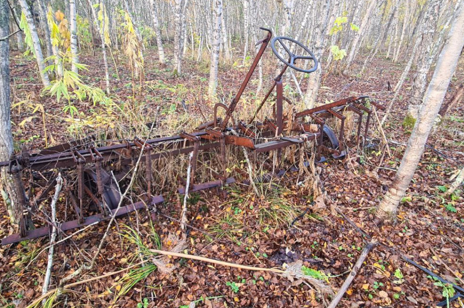 В Соболевском районе нашли «останки» сельхозмашин из прошлого. Фото: ТГ-канал Андрея Воровского. Фотография 7