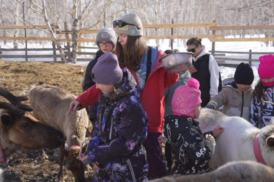 Для камчатских детей участников СВО устроили экскурсию в питомник «Снежные псы». Фото с сайта  kamgov.ru. Фотография 6