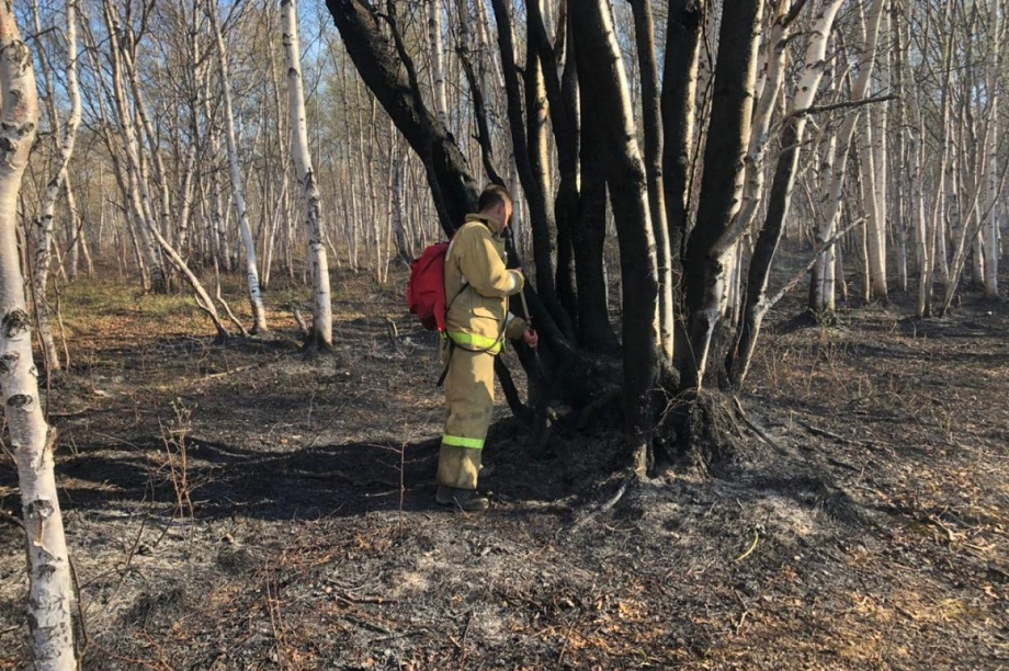Более пяти часов пожарные боролись с возгоранием сухой травы на Камчатке . Фото предоставлено пресс-службой краевого МЧС. Фотография 6