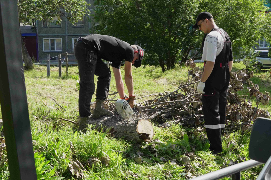 В сквере на Солнечной в Петропавловске-Камчатском убрали аварийные деревья. Фото: администрация ПКГО. Фотография 2