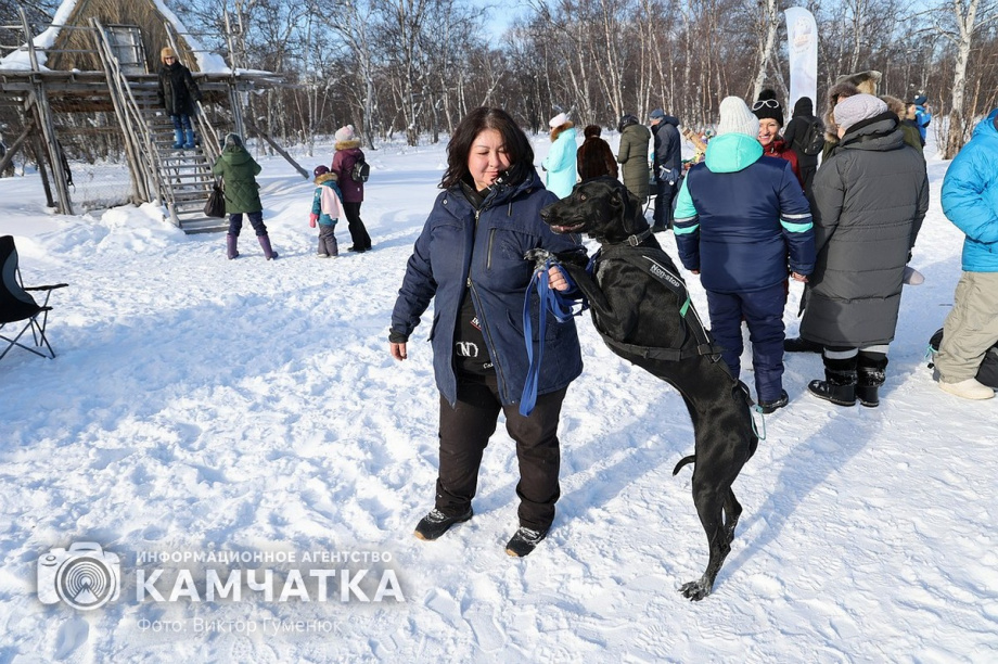 Гонка на собачьих упряжках «Хальч Тхсаном». Фоторепортаж  . Фото: Виктор Гуменюк. Фотография 42