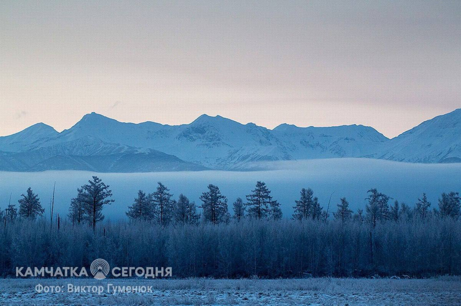 Полиция нашла на Камчатке живым парня, который заблудился в лесу. фото: Виктор Гуменюк