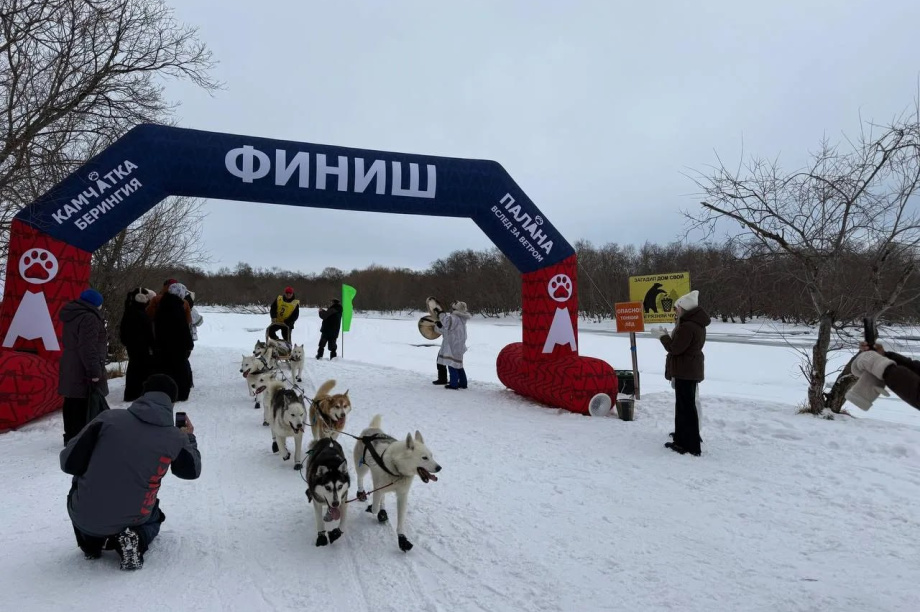 Камчатская «Берингия-2026» добралась до Паланы. Фото: Юлия Воронова. Фотография 6