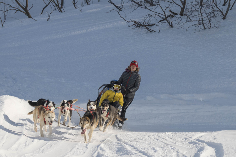 Фестиваль Снежный путь дарит тепло и веселье в конце зимы. Фото: «Камчатка Сегодня» \ Игорь Сафончик. Фотография 45