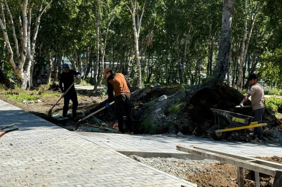 Побродить в обновленном парке «Электрон» на Камчатке можно будет уже в сентябре. Фото: kamgov.ru. Фотография 1