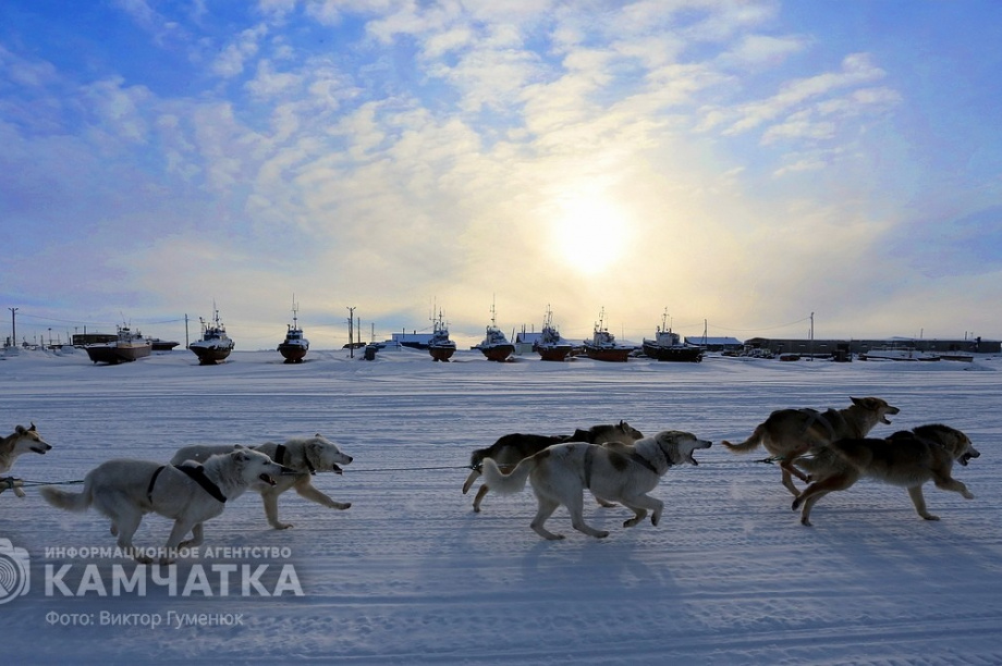 Всемирный день фотографии отмечает Камчатка. Фото: Виктор Гуменюк. Фотография 36