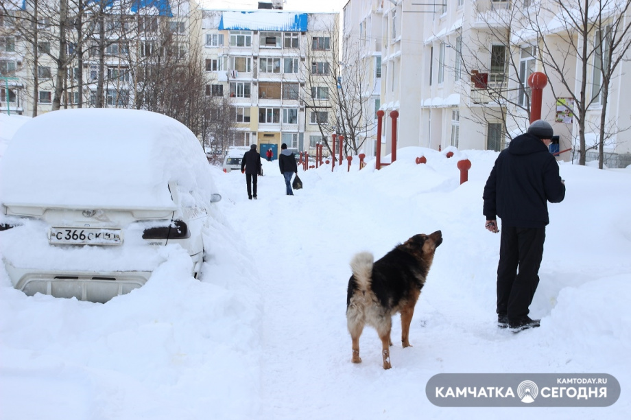 Cнежный циклон испортит погоду на Камчатке. Фото: Василий Конашев