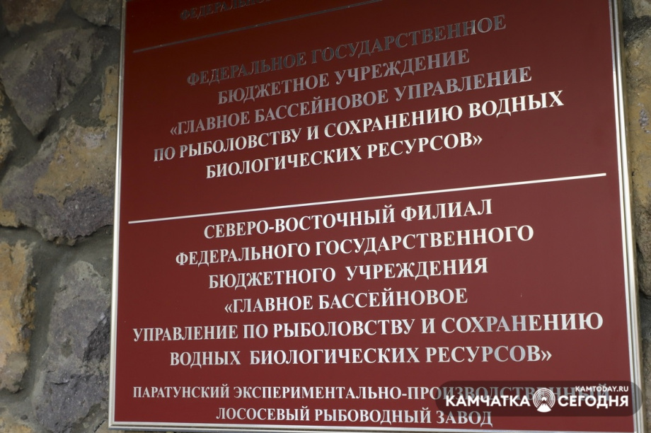 В добрый путь. Фото: Виктор Гуменюк. Фотография 29