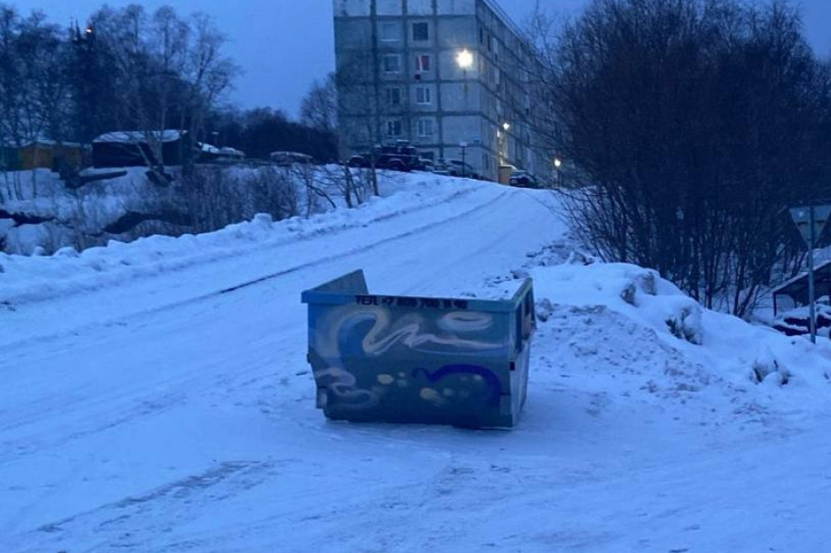 В Вилючинске на Камчатке установили специальные мусорные контейнеры для живых елей. . Фотография 1