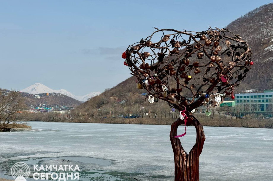 Лучшие кадры камчатского Праздника Весны и Труда . . Фотография 35