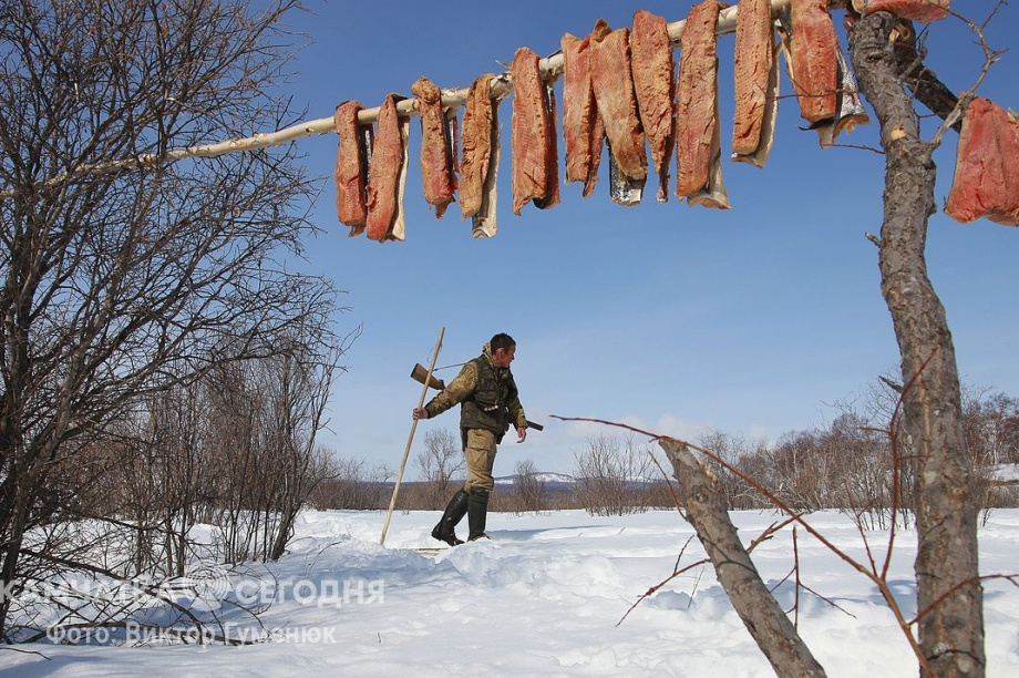День рождения села Анавгай на Камчатке. Фотоподборка. Фото: архив/Виктор Гуменюк. Фотография 82