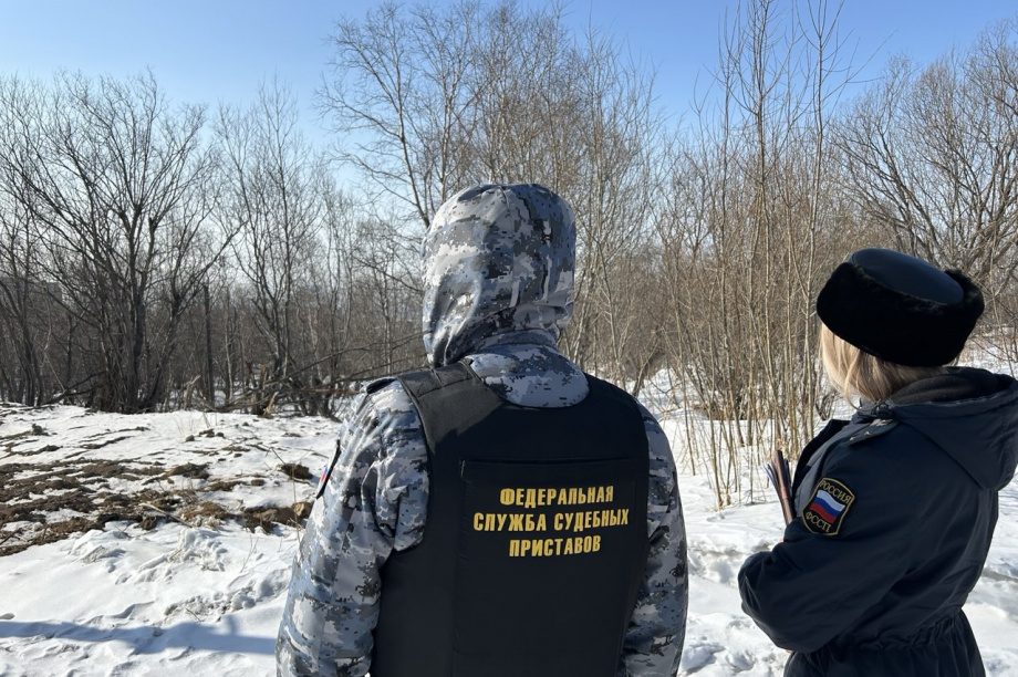 Приставы на Камчатке вернули городу землю. Фото: УФССП по Камчатскому краю и Чукотскому округу
