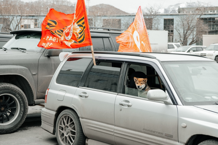 Десятый автопробег «Спасибо деду за Победу!» прошёл в Петропавловске. Фото: Заксобрание Камчатского края. Фотография 5