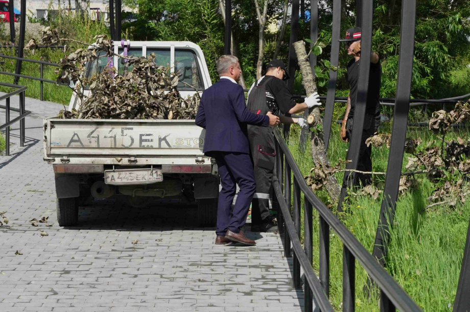 В сквере на Солнечной в Петропавловске-Камчатском убрали аварийные деревья. Фото: администрация ПКГО. Фотография 4