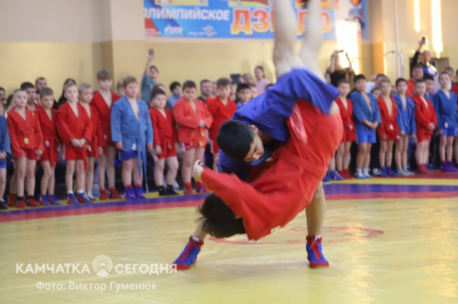 Всероссийский день самбо отметили на Камчатке. Фото: Виктор Гуменюк\ИА "Камчатка". Фотография 5